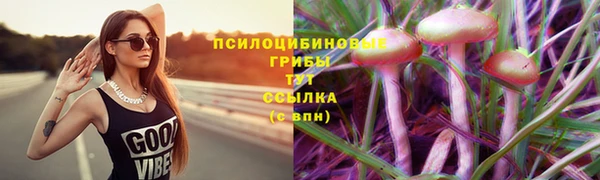 jwh Беломорск