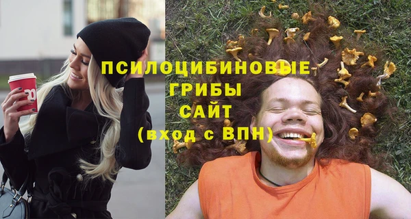 первитин Белокуриха
