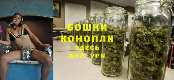 первитин Белокуриха