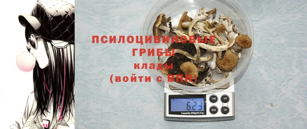 первитин Белокуриха