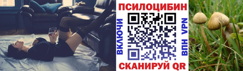 Псилоцибиновые грибы Psilocybe  Пыть-Ях 
